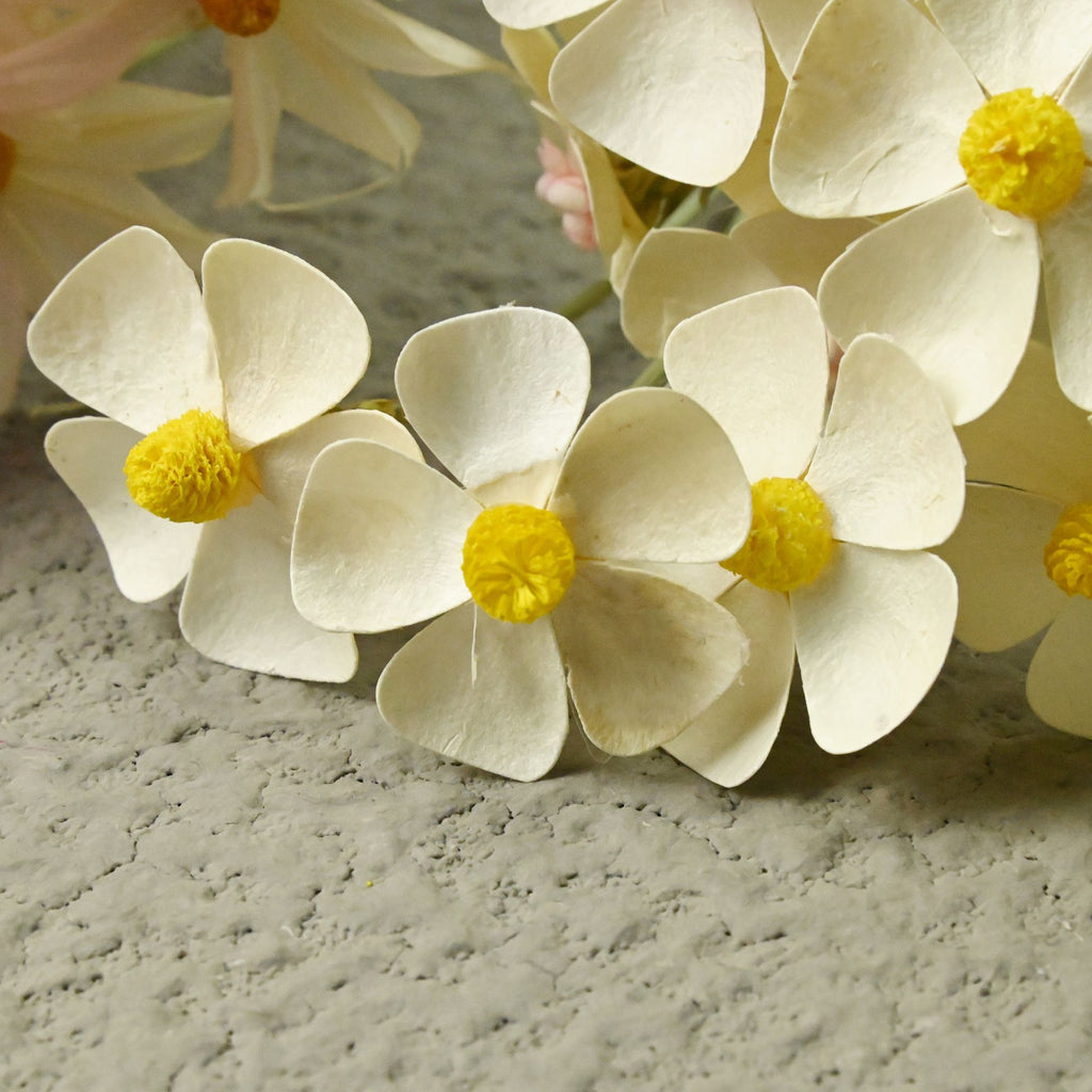 Violet Dried Flowers