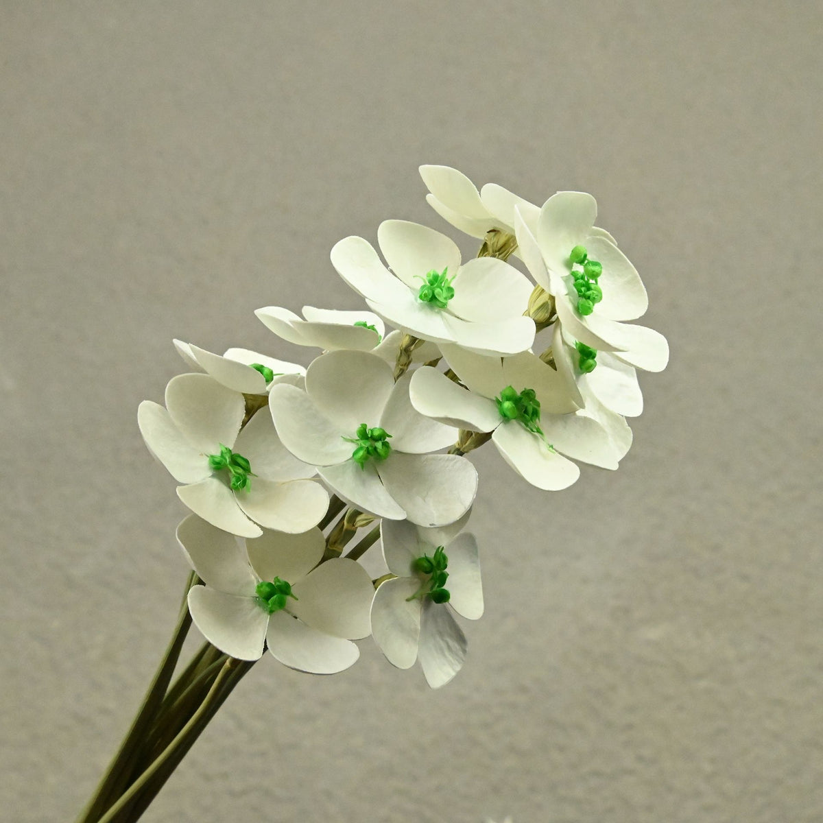 Violet white with green center（10Delivery2Damage prevention）