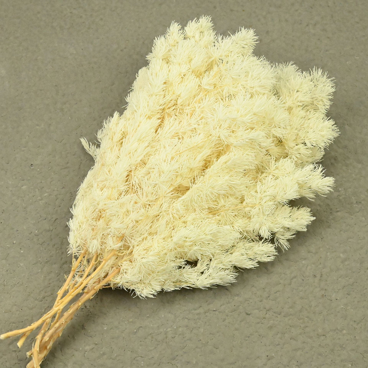Penglai Pine Short Branch 40CM White (Approximately 100 grams)