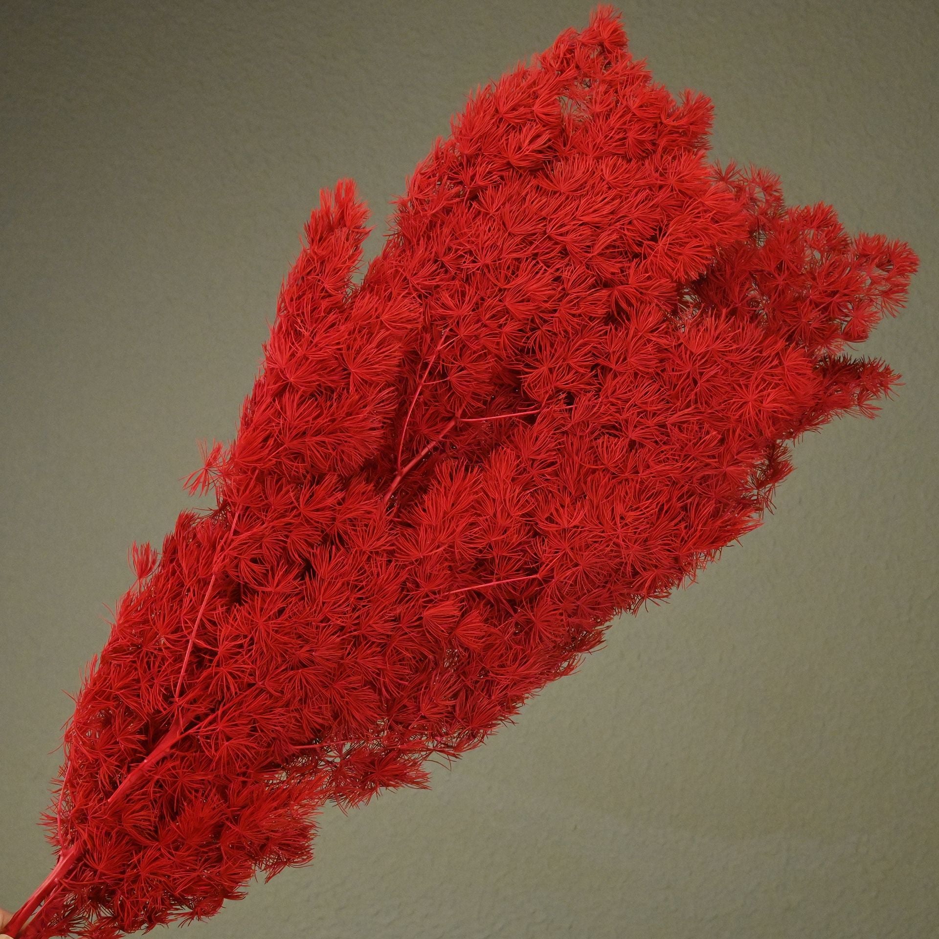 e23ff684-e83d-483a-9d2d-028e37ae1cb5