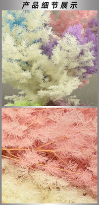 adbcee08-b7bd-4b26-80c6-fdec32d4cecd