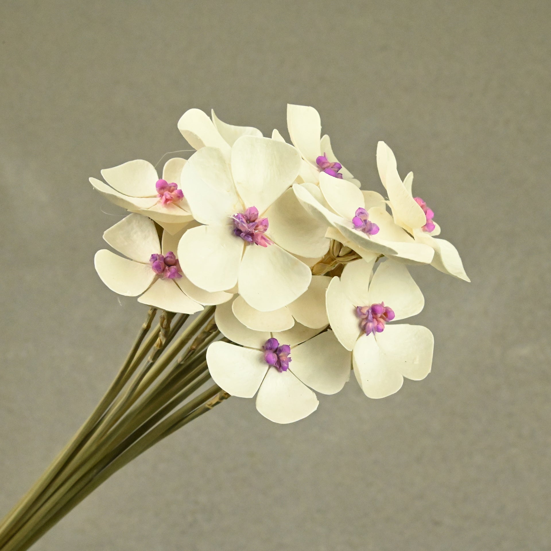 2332f84a-5481-43ef-855e-804da4fafda4