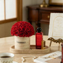 a6b9b8ef-f6da-456e-8d97-9c709d2406fa