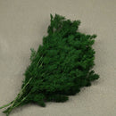 e6392258-c02a-40a8-ba5a-1bf4cd6663bd