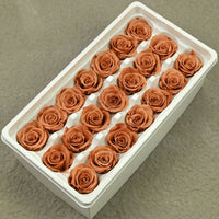 4f0cadff-182a-4770-9433-6ff0d1173bbd