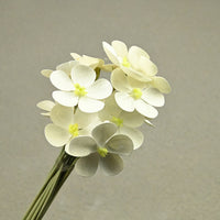 443ae1ae-abd1-4f2f-8fb7-0b28ae614df9