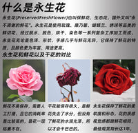 02f40ee3-3266-4d4d-80b0-37c7e7f94ba9