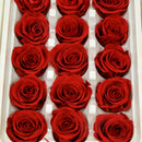 bb469bc2-31a1-405e-94e1-6786f913d726
