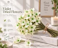 Preserved Dried Flowers for Arrangements