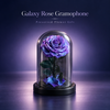 Galaxy Rose Gramophone – Preserved Flower Luxury Gift