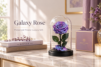 Galaxy Rose Gramophone