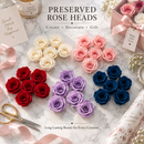 DIY Preserved Rose Heads