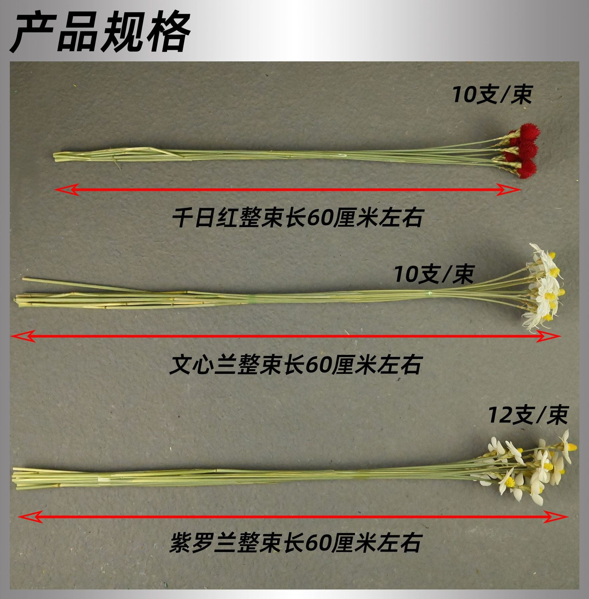 15ca6805-502f-4a5b-83ac-648b33303514