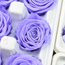 3d7cf125-7a4a-460c-afda-12a75c488275