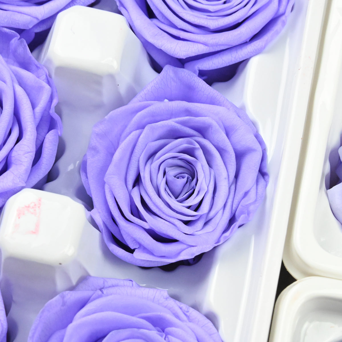 3d7cf125-7a4a-460c-afda-12a75c488275