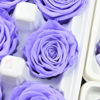 3d7cf125-7a4a-460c-afda-12a75c488275