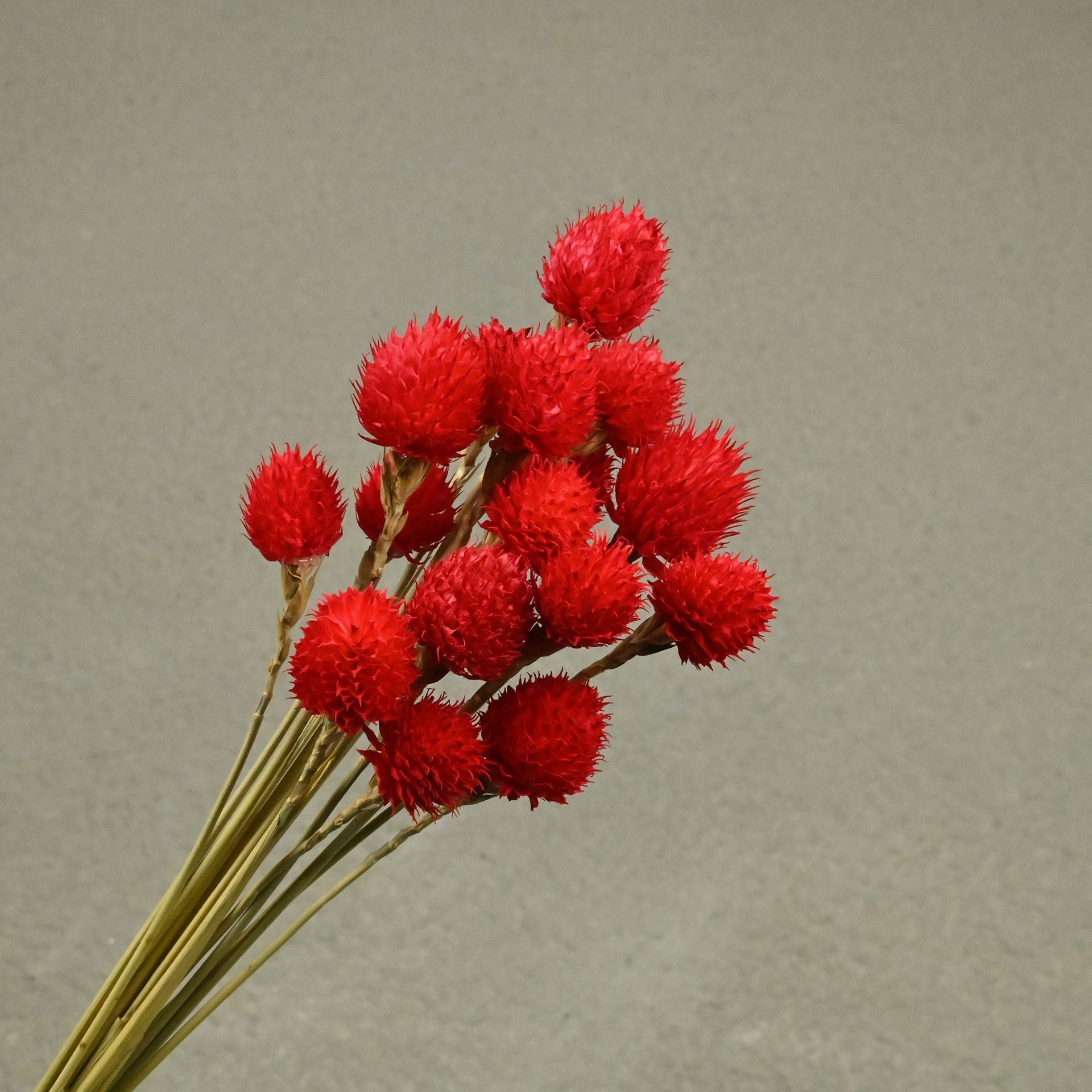 7f51d9b5-f945-4af4-9a81-b063bdf5874f