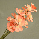 7ff1f249-8c9e-4280-8ffe-c6a8f4e1d63e