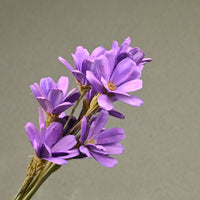 55e53b08-b55f-4628-93c3-1239f3ec8cb6