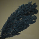 a495656e-5da6-4c6c-954c-dc56937e049a