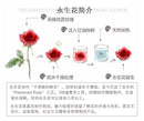 5a31288c-f310-484e-975d-1a3da12d94ce