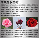 e1a66ab8-55dd-408d-a6ac-af54b3e372ba