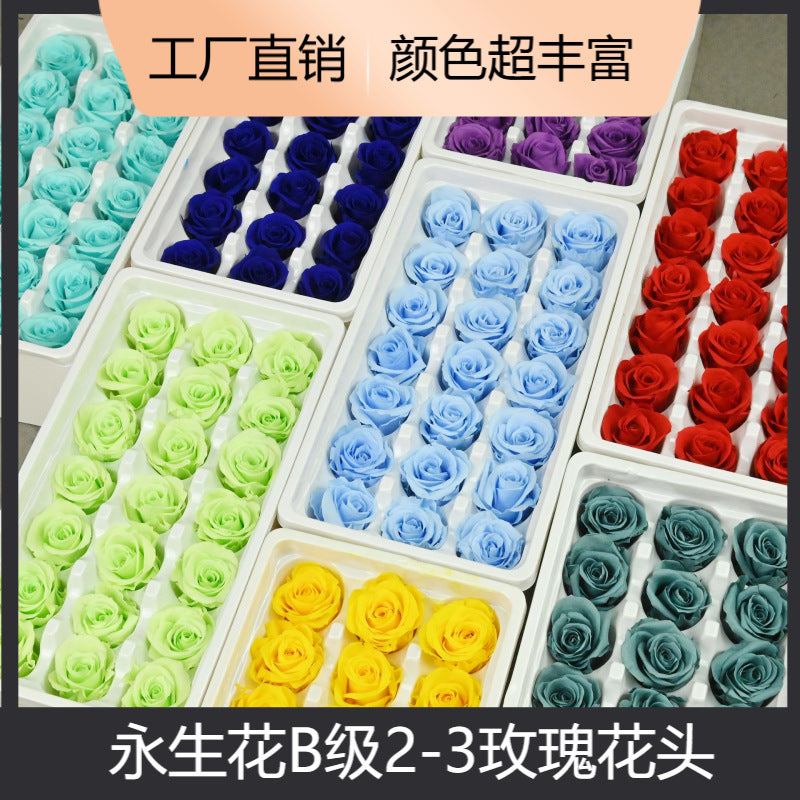 Preserved Rose Flower Material Wholesale DIY Dried Flowers