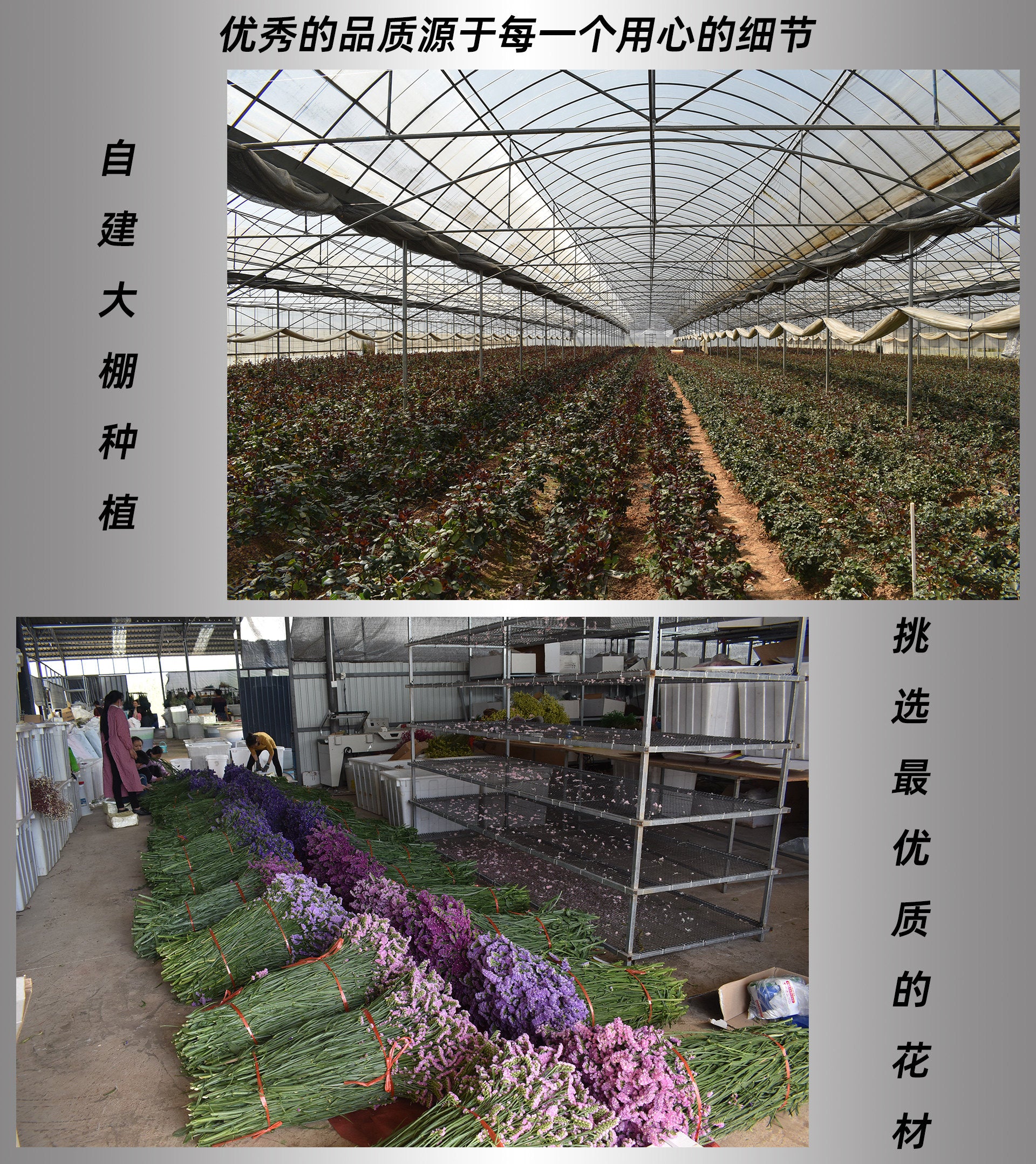 4f195588-332f-49c8-9a81-f1ba8afe2e76