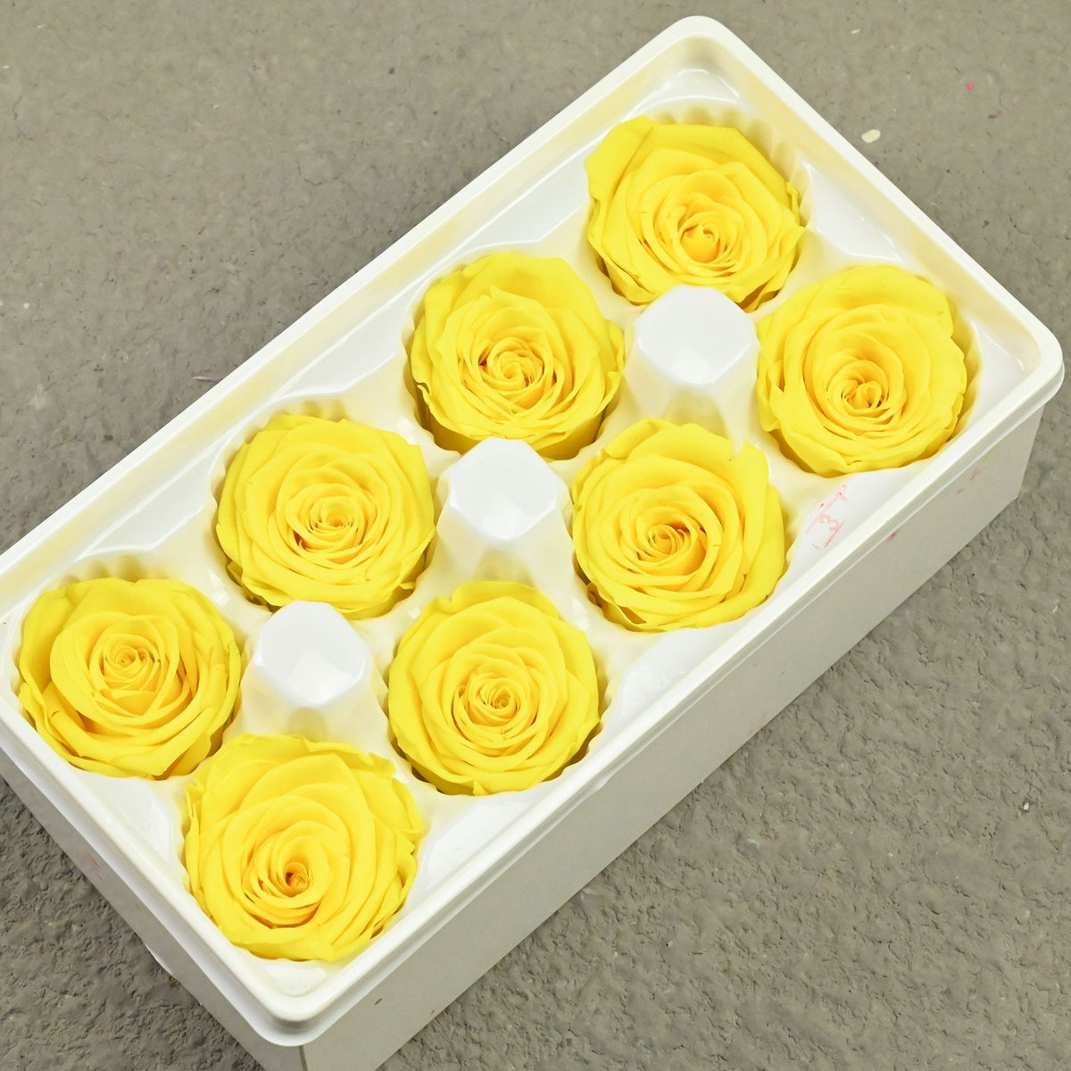 183addcf-c874-4cad-85ba-1f5e57f26676