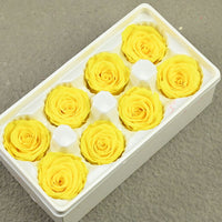 183addcf-c874-4cad-85ba-1f5e57f26676